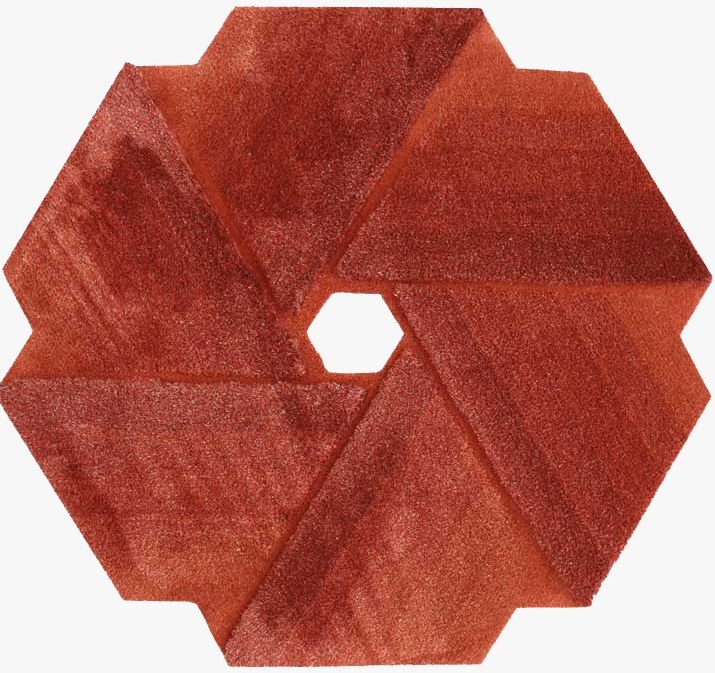 Hand-tufted rug 16